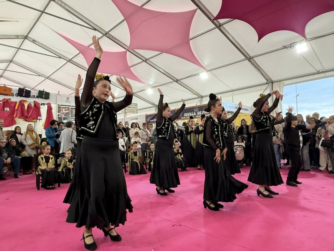 La exhibición del grupo de baile 'Aire Flamenco' encandiló al público