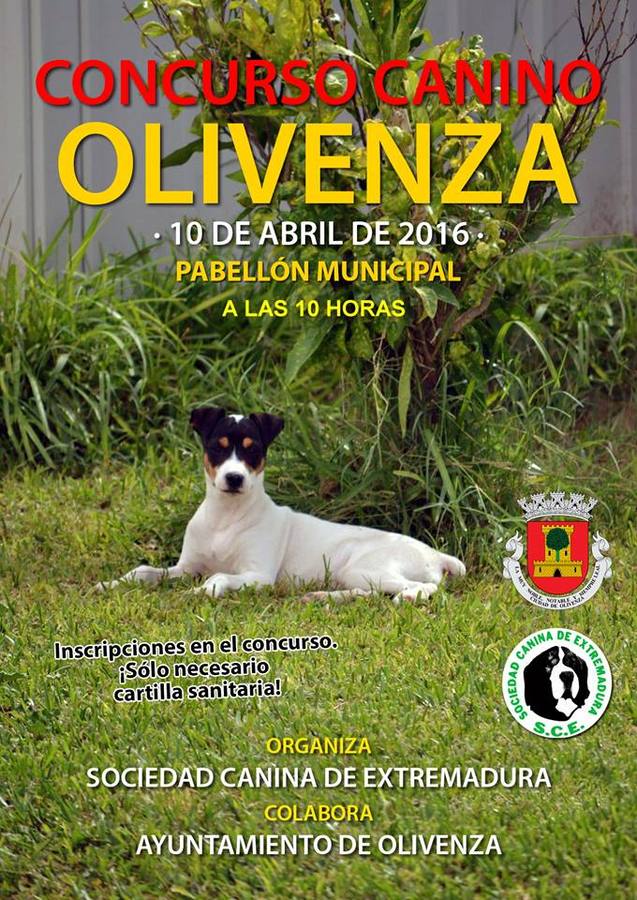 La ciudad acoge un concurso canino valedero para el Campeonato de Extremadura
