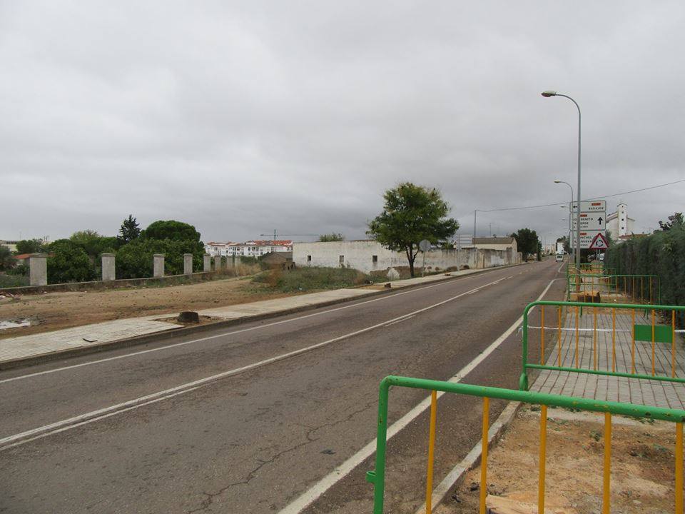 El arbolado de la Avenida de Elvas será sustituido para evitar levantamiento del acerado