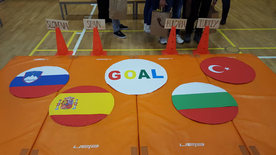 Banderas de los países participantes en el proyecto GOAL. 