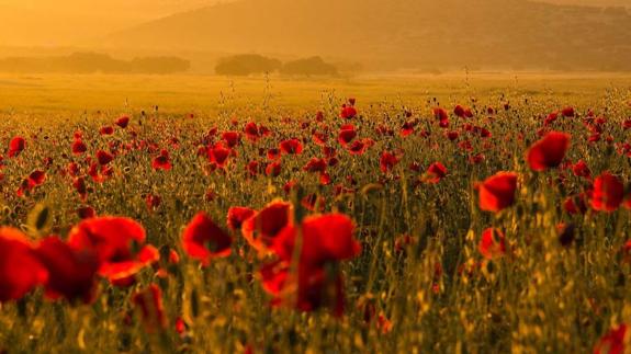 'Amanecer en los Bayones', de Joaquín Figueredo González, primer premio del concurso de fotografía. 