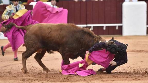Cogida de María del Mar Santos en el primer festejo de la Feria de Olivenza. J.V. ARNELAS