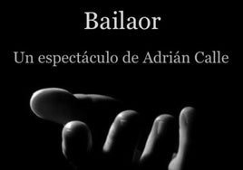 Adrián Calle presenta el espectáculo 'Bailaor'