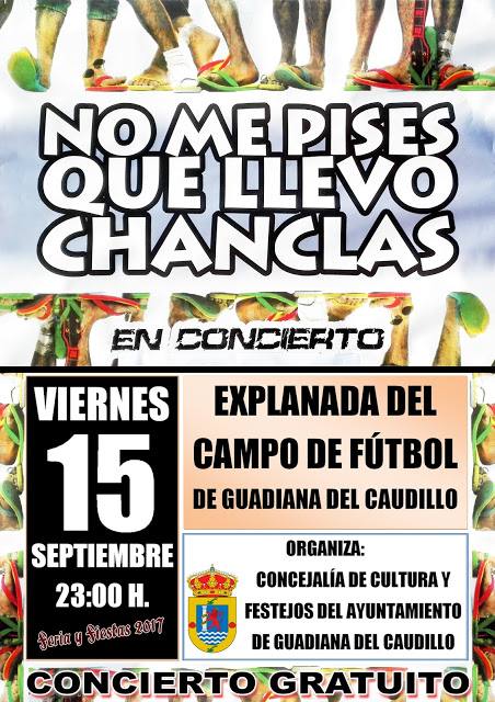 ¡No me pises que llevo chanclas en concierto!