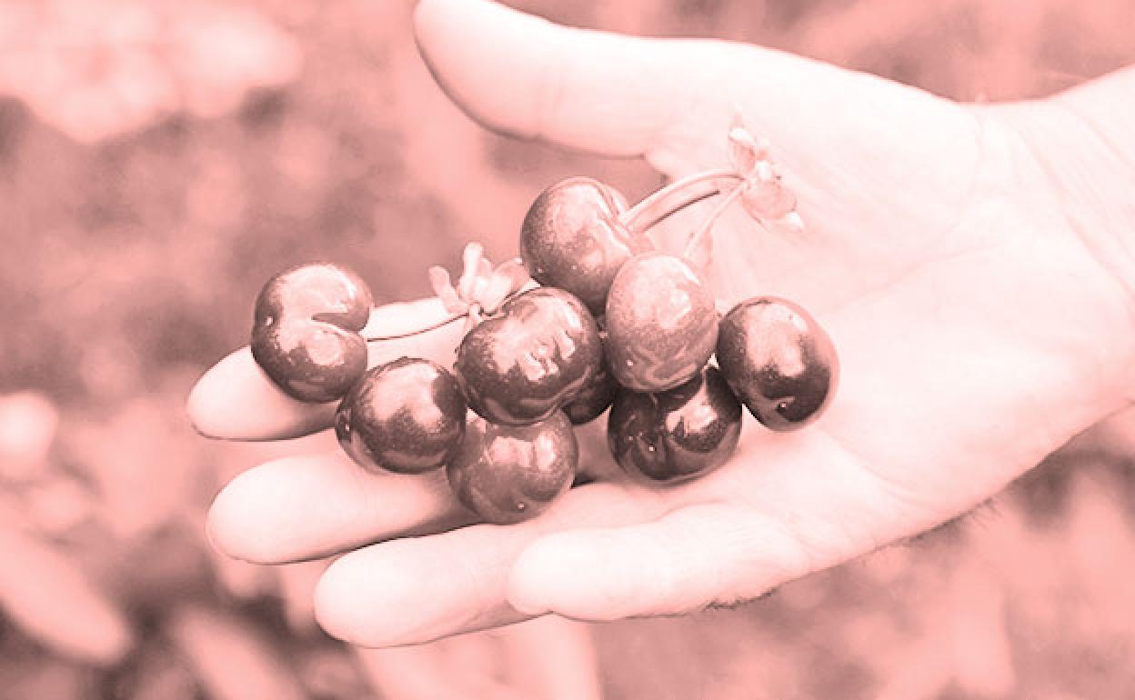 Una economía en proceso de desarrollo