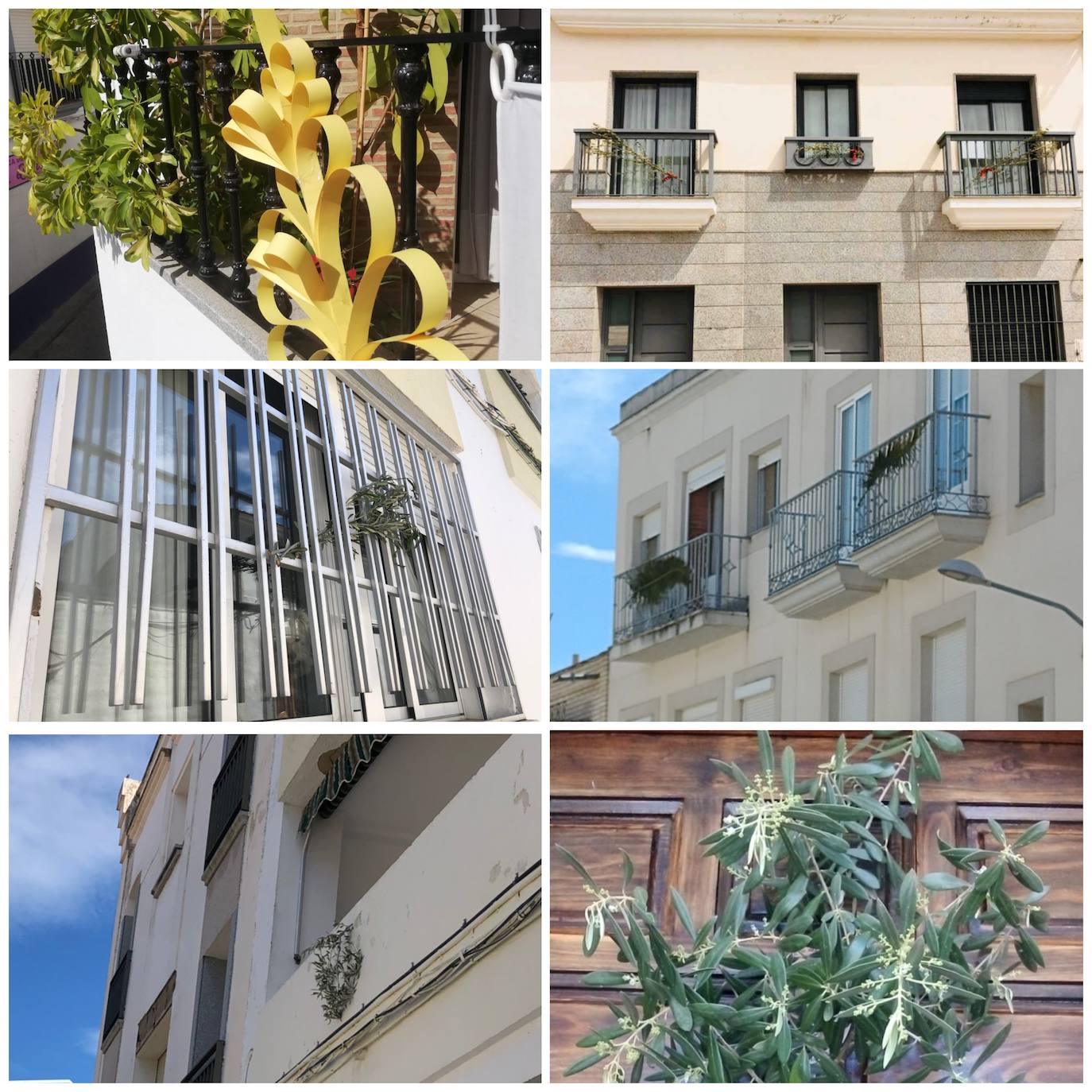 Ramas de olivo adornan los balcones en un Domingo de Ramos diferente