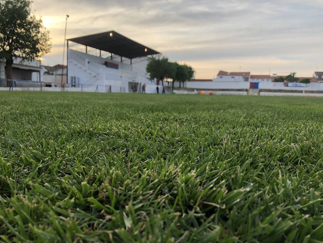 El municipal de Quintana contará con césped artificial 