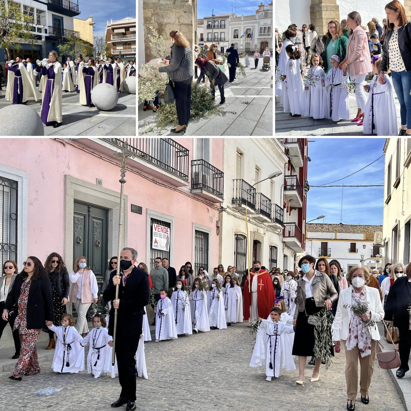 Diferentes momentos de la celebración del Domingo de Ramos 