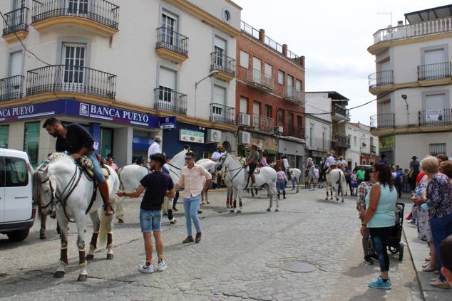 Fotos: Originalidad, color y mucha tradición en el desfile de San Isidro