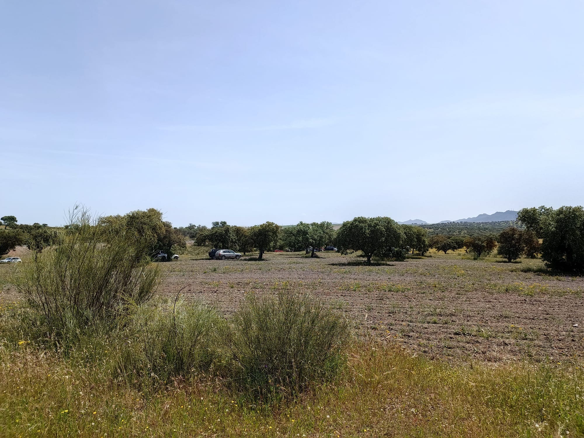 Terrenos de la antigua estación en los que se desarrollarán algunas pruebas 