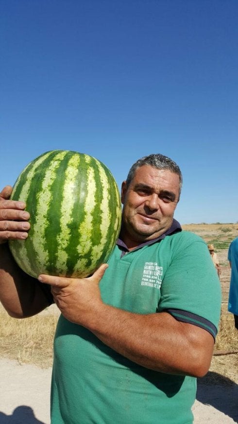 «El secreto para la sandía es hacerle un buen barbecho antes»