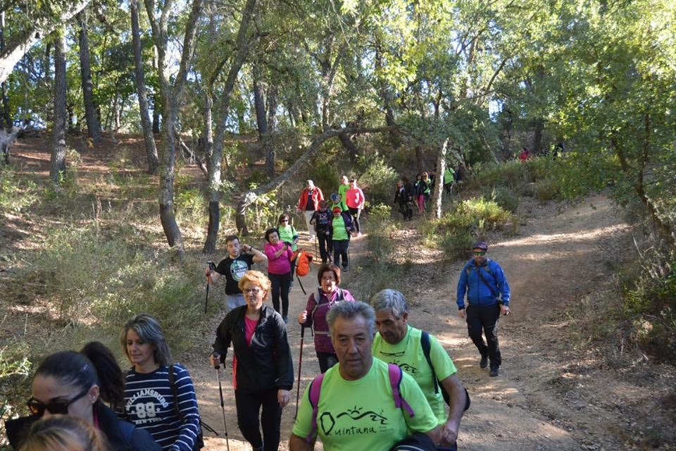 Los senderistas caminando por el bosque encantado de la Ribera del Jabugo 
