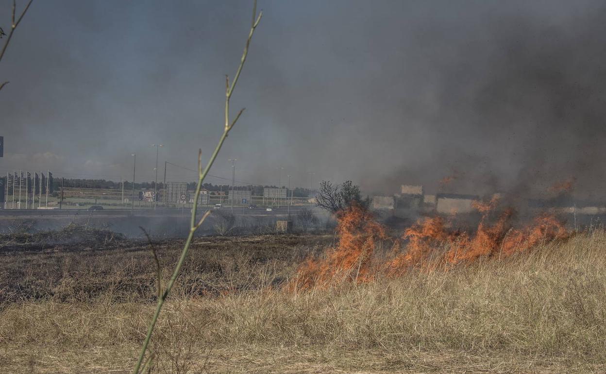 A partir del 11 de mayo prohibidas las quemas de restos vegetales, agrícolas, forestales y piconeras