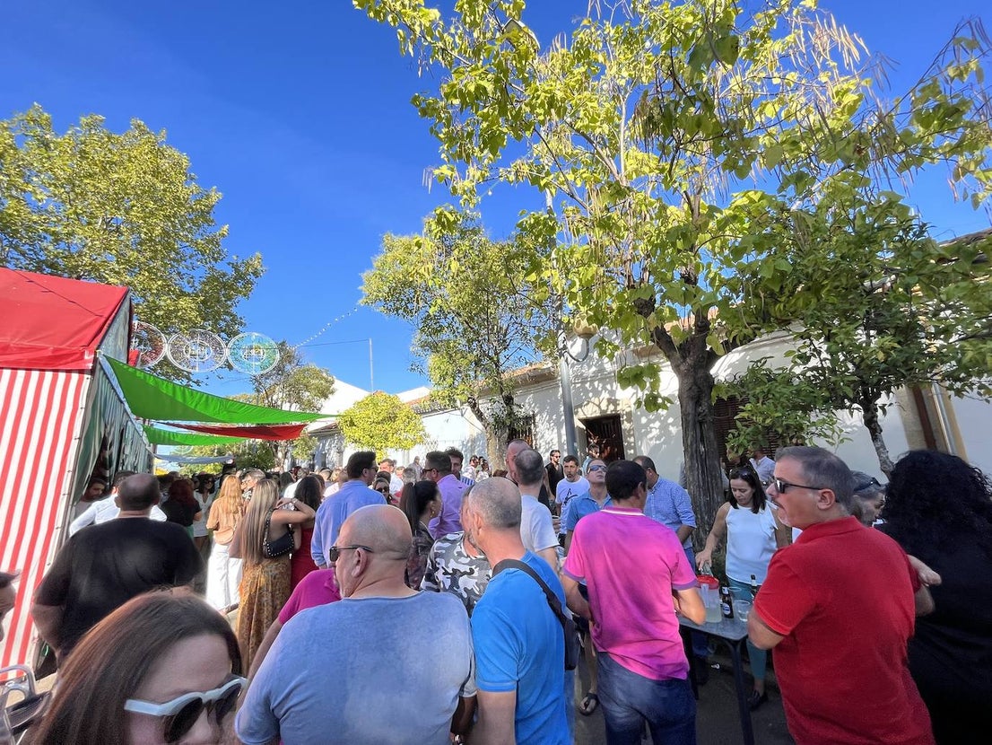 Fotos: Feria de San Miguel 2022-Fiestas del Corcho