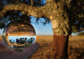 Foto ganadora de la categoría 'Extremadura' por Miguel Ángel Torres García.
