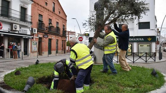 Muere el emblemático castaño del Llano