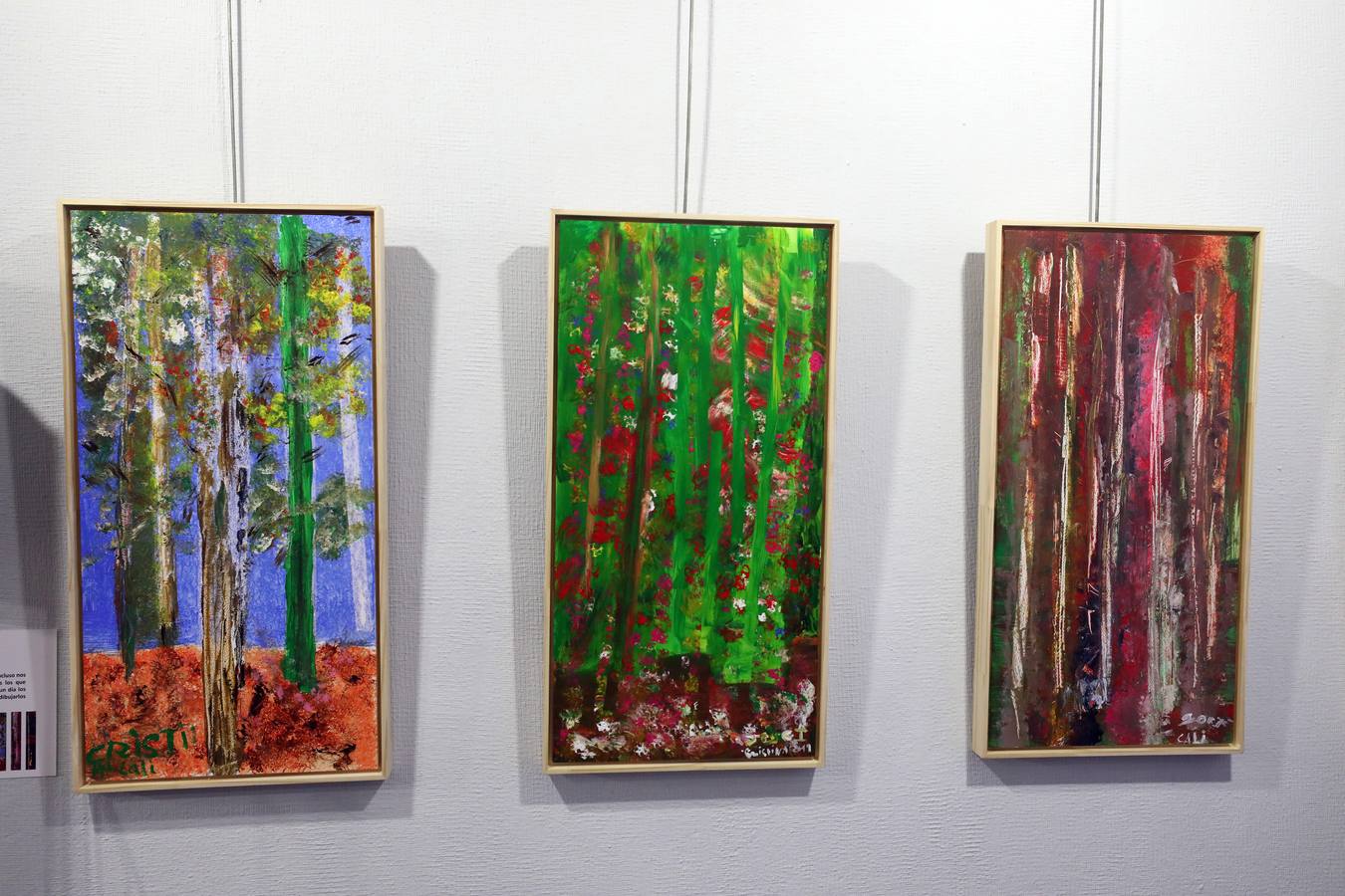 El centro cultural Santo Domingo acoge hasta el 14 de abril una muestra de arte de Down Mérida 'Igual-Arte. Todos los trazos tienen su color' es el resultado, tras más de un año de trabajo, del esfuerzo y la creatividad de los componentes que conforman el taller de pintura de Down Mérida.