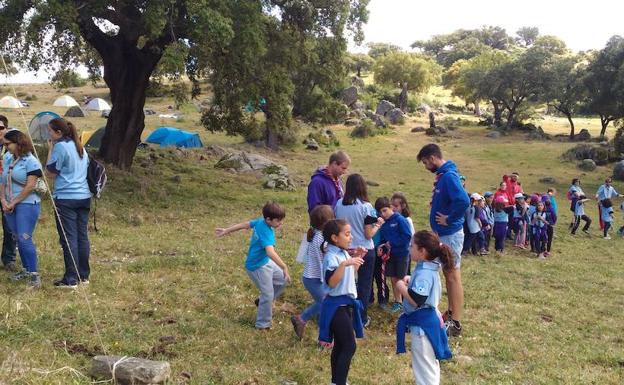 Actividad de Scouts de la región.