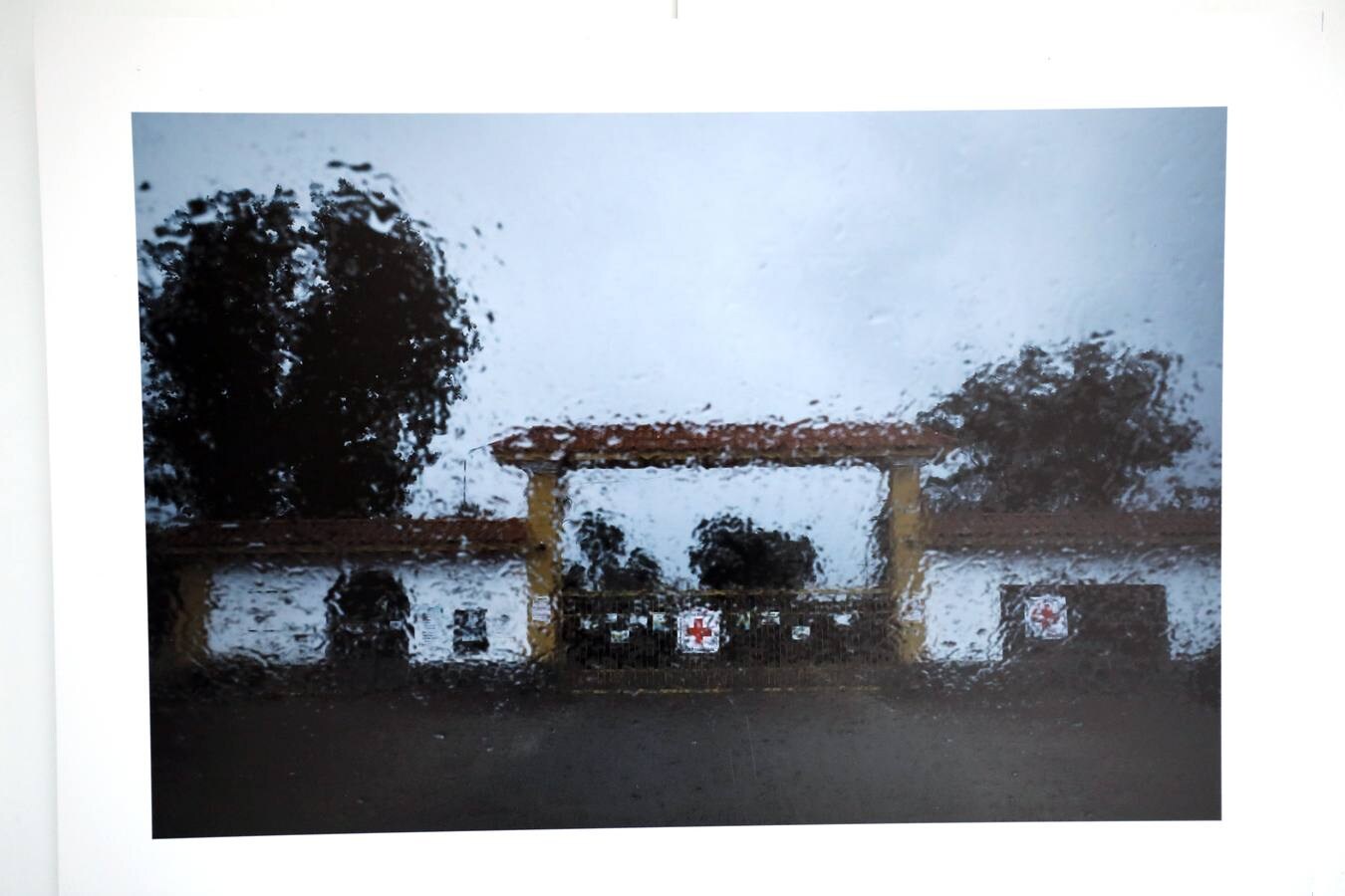 Fotos: El patio de la Asamblea de Extremadura acoge la exposición &#039;La revelación de la empatía&#039;