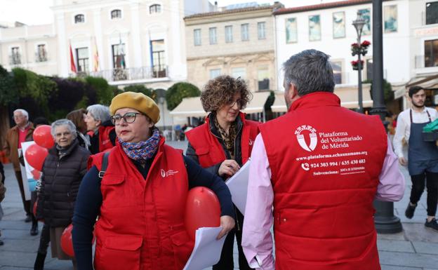 Algunos de los voluntarios.