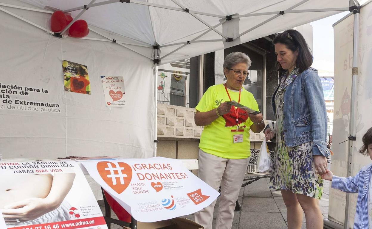 Campaña informativa para captar donantes de médula. 