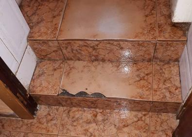 Imagen secundaria 1 - «Necesito adaptar mi casa a la discapacidad de mi hijo»