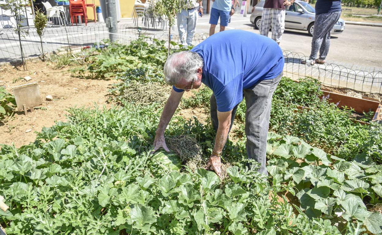 La Diputación de Cáceres destina 300.000 euros para el desarrollo de 60 proyectos de Acción Social