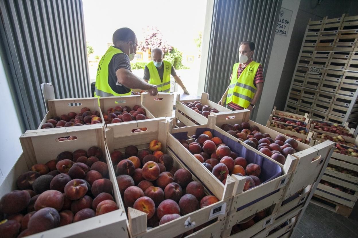 El Banco de Alimentos de Cáceres recibe un 35% más de donaciones durante la pandemia