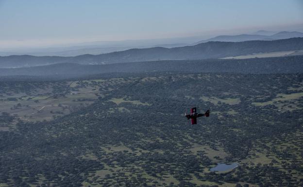Volando sobre la dehesa del Alconchel.