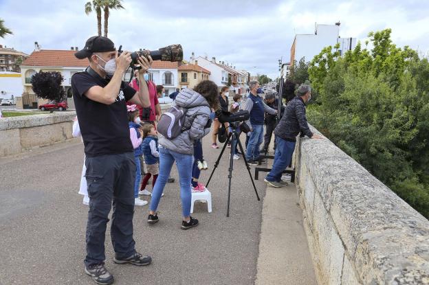 Observación ornitológica en el puente del Albarregas.