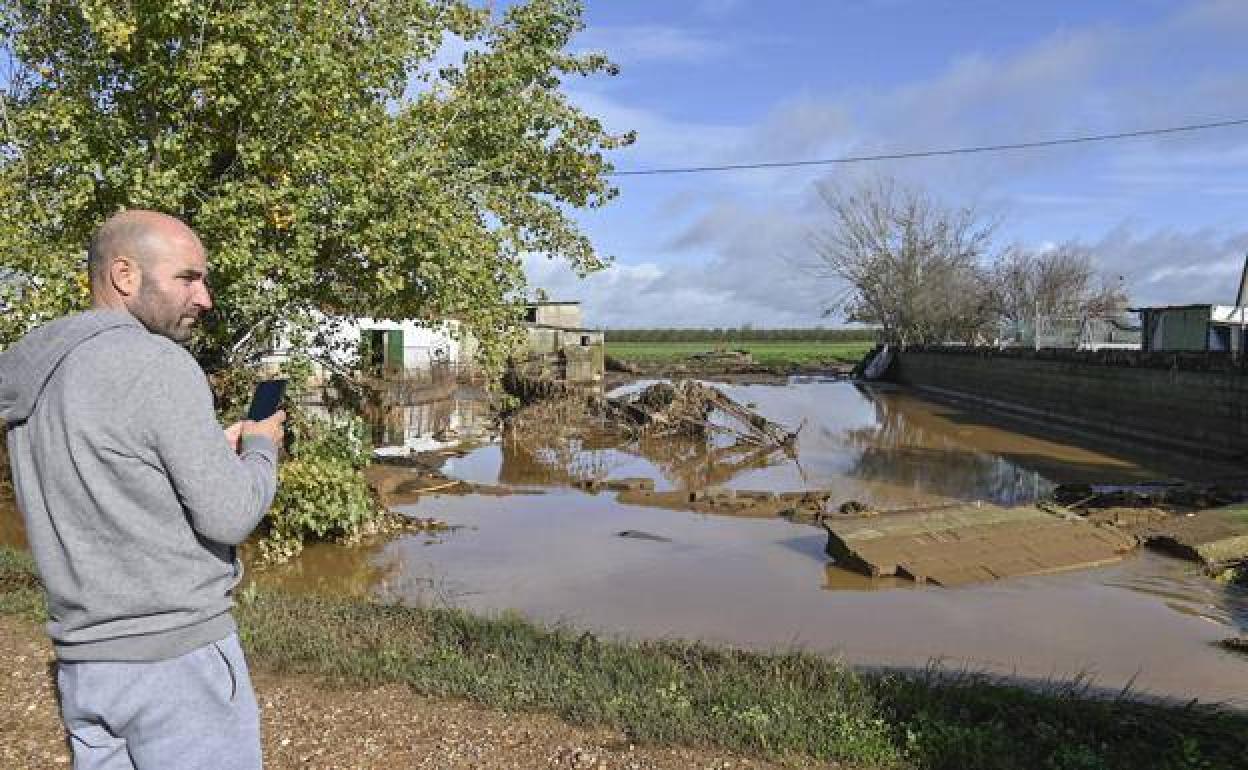 Destrozos en una finca de las Casas Aisladas de Gévora 