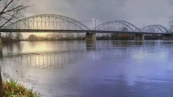 La Escuela Profesional Coria promueve este sábado la limpieza de un tramo del río Alagón
