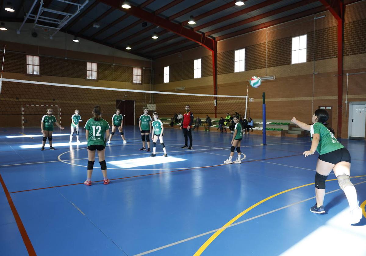Valverde de Leganés y el deporte consiguen más de 250 kilos de alimentos solidarios