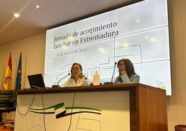 La Junta de Extremadura pondrá en marcha campañas para dar a conocer la figura del acogimiento familiar