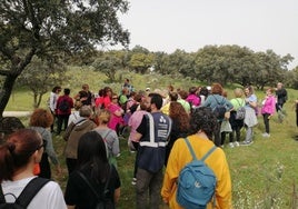 Las actividades deportivas fomentan las relaciones sociales.