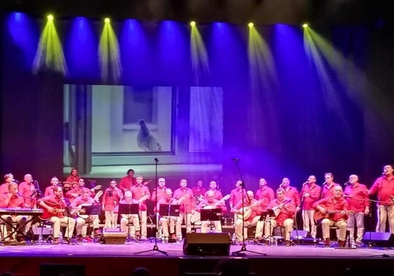 Furriones en concierto.