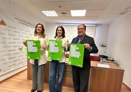 Imagen de la presentación.