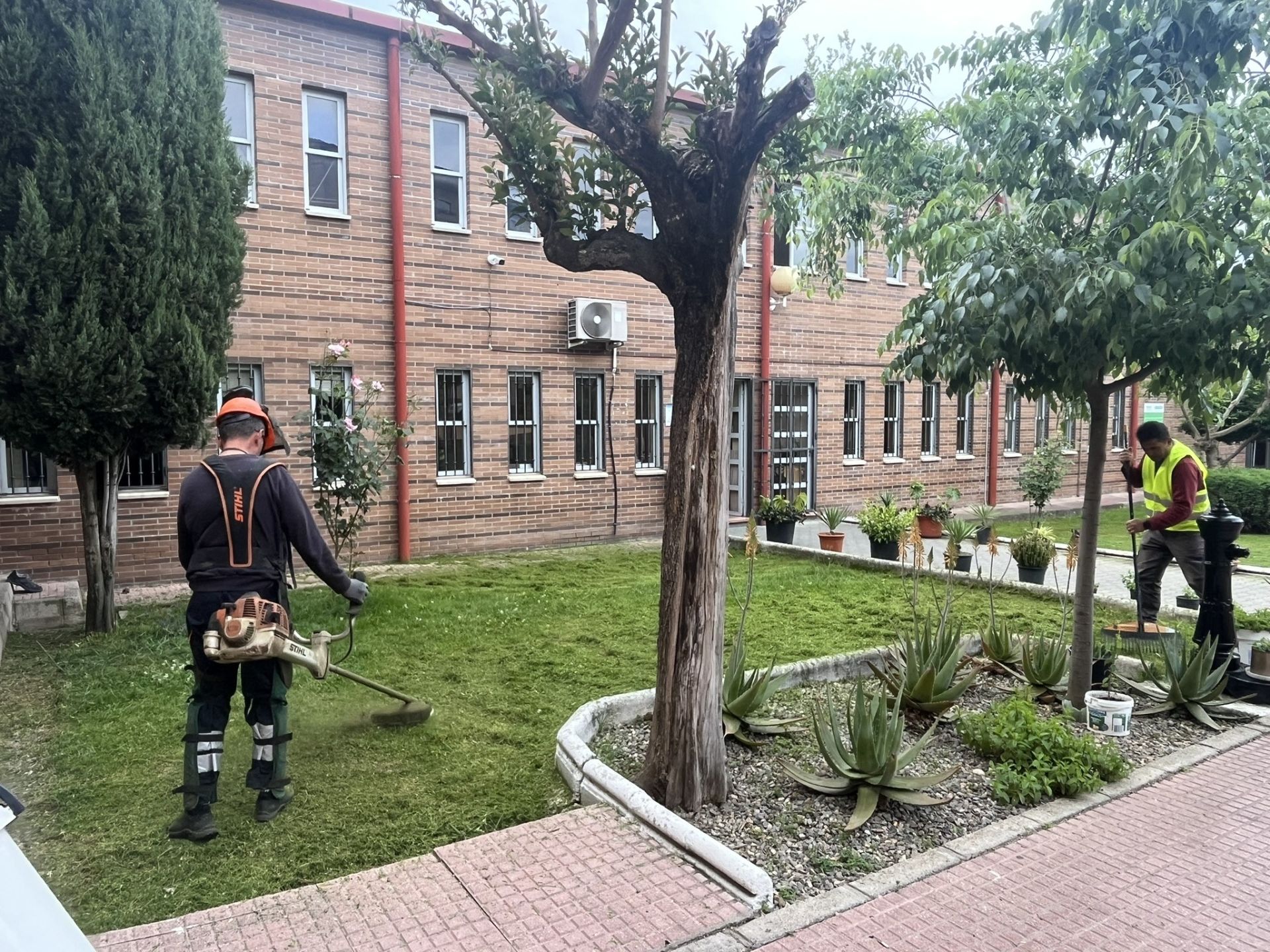 La iniciativa ha brindado oportunidades laborales a los beneficiarios.