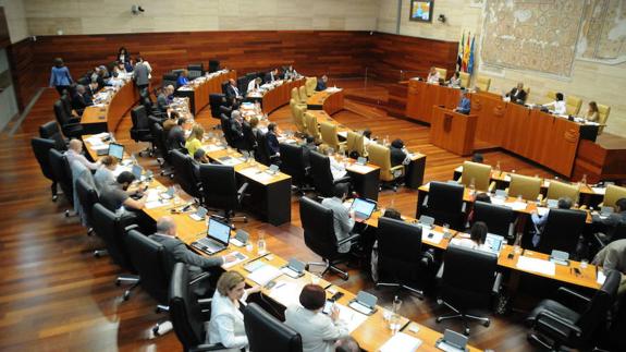 La Asamblea insta a la Junta a reforzar su apoyo a los emprendedores con discapacidad