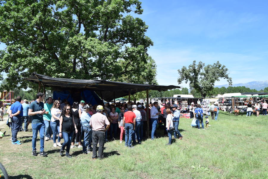 55 Aniversario de la Romería de la Virgen de Guadalupe en Barquilla de Pinares. Fina la Solana.