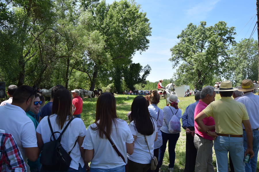 55 Aniversario de la Romería de la Virgen de Guadalupe en Barquilla de Pinares. Fina la Solana.