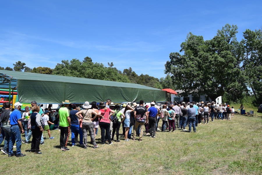 55 Aniversario de la Romería de la Virgen de Guadalupe en Barquilla de Pinares. Fina la Solana.
