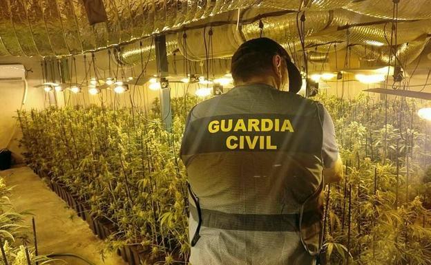 Una de las plantaciones de una de las tres naves registradas