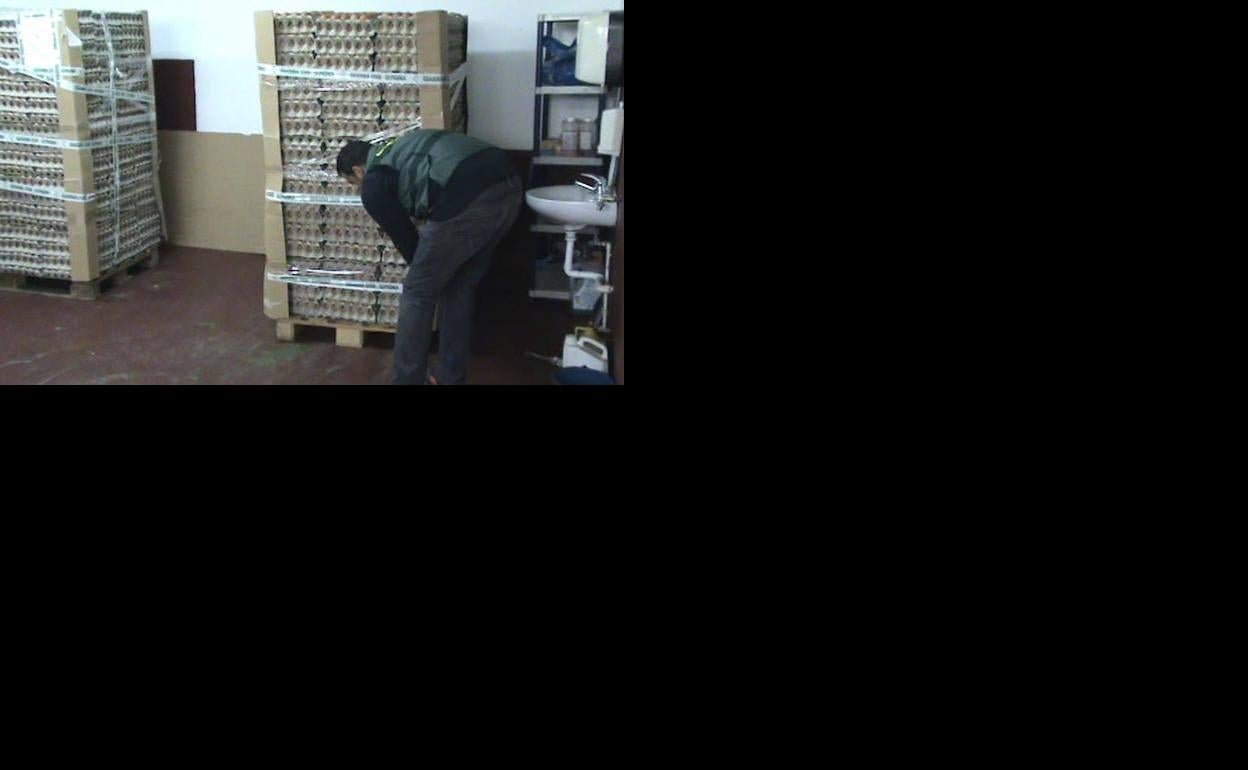 Un agente de la Guardia Civil precinta los envases de los huevos retirados