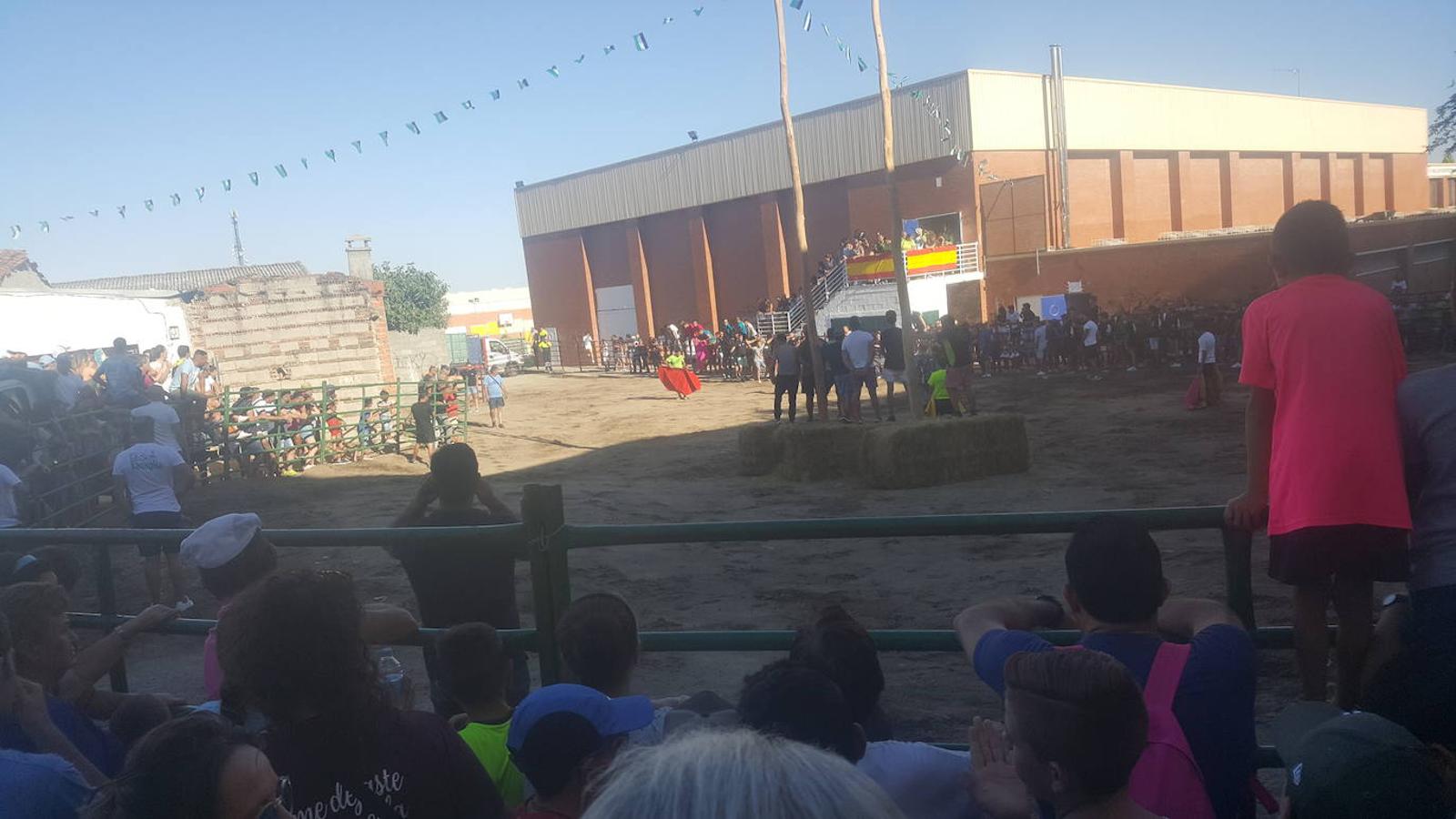 Fotos: Fiestas Virgen de la Asunción 2019