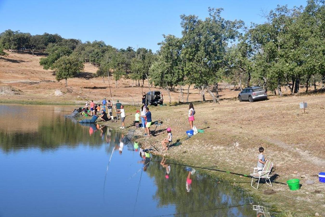 Fotos: Fiestas Virgen de la Asunción 2019