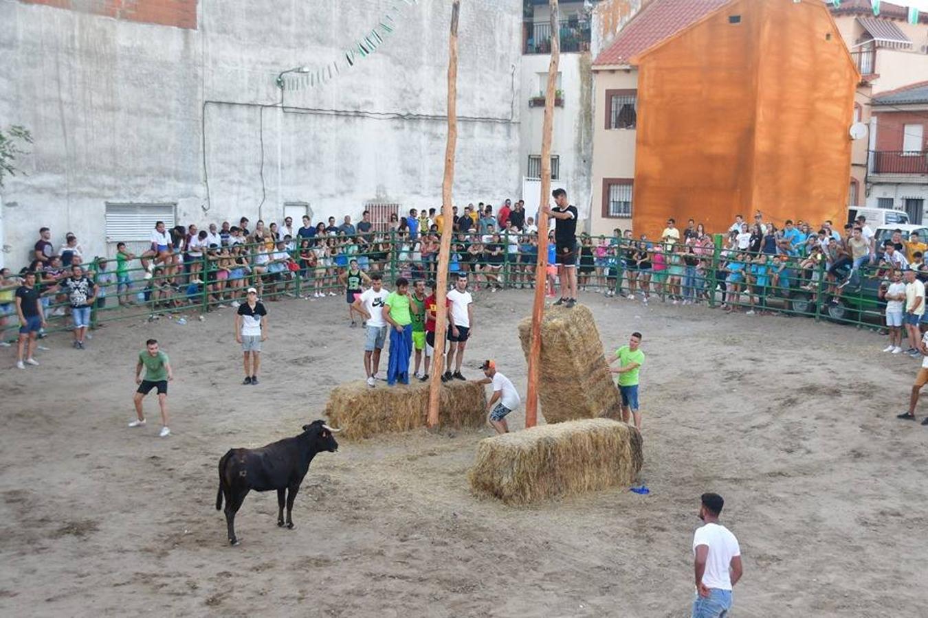Fotos: Fiestas Virgen de la Asunción 2019