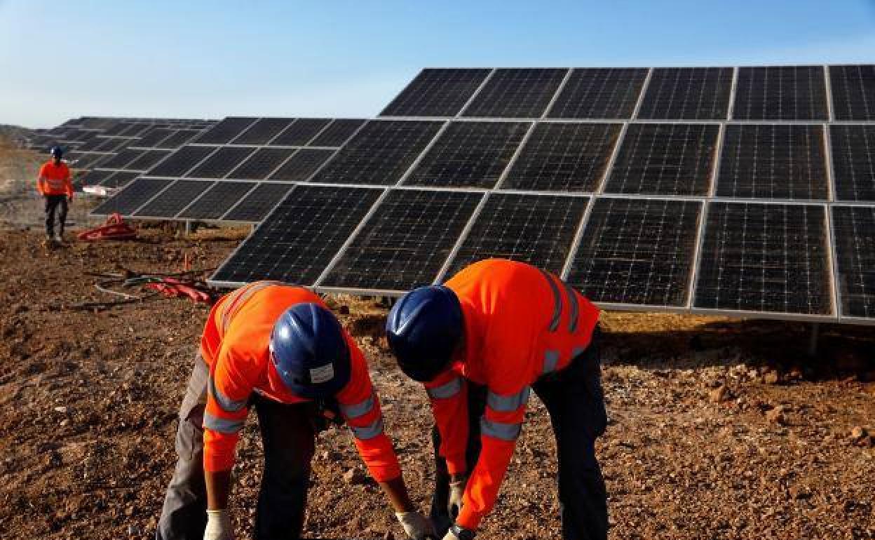 El inicio de la construcción de la fotovoltaica de Talayuela empezará antes de un mes