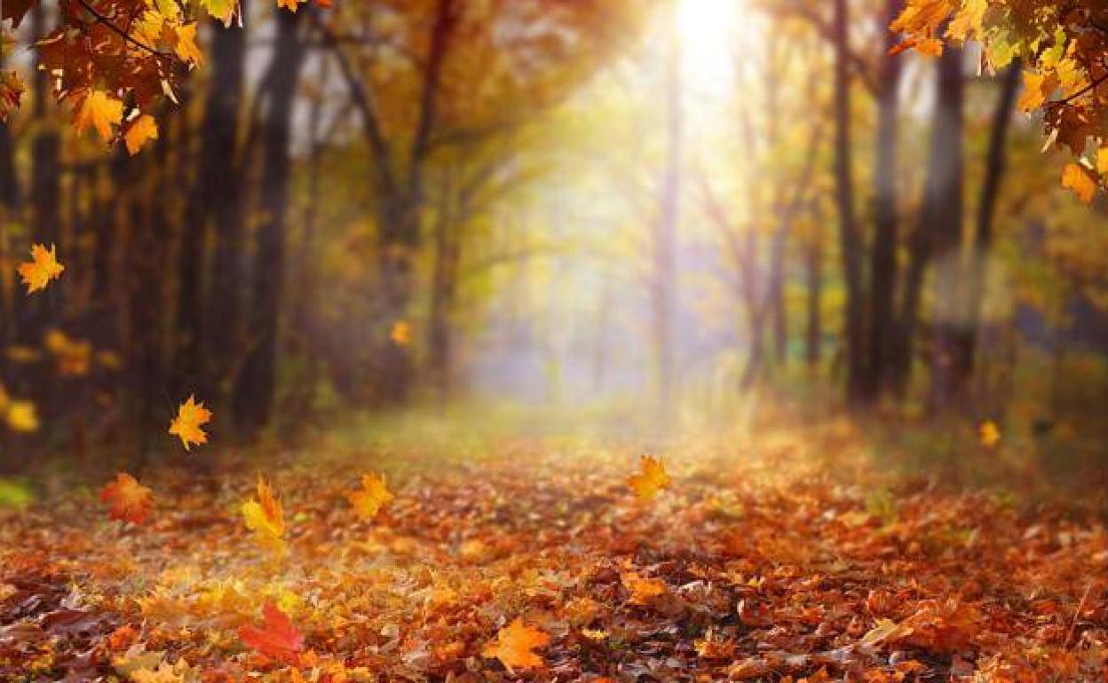 El otoño llega a Extremadura con lluvia