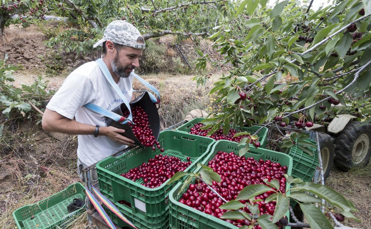 278 jóvenes agricultores reciben ayudas para crear empresas